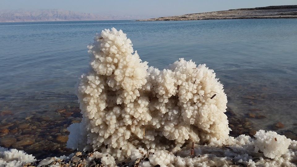 Dead Sea Minerals: Why are They Good for You?